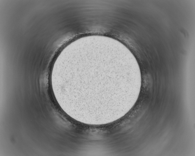 X0000113320632200910051126