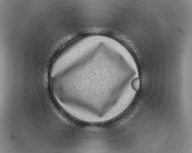 X0000113320633200910051126