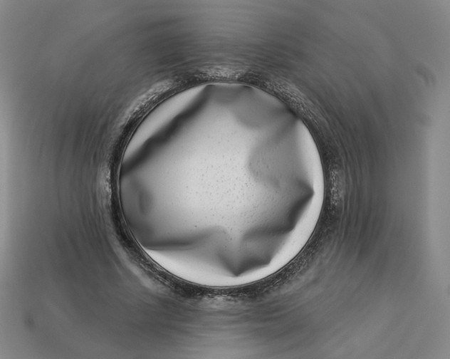 X0000113320634200910051126