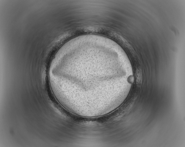 X0000113320637200910051126