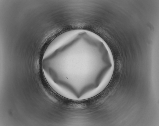 X0000113320638200910051126