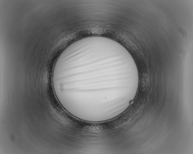 X0000113320639200910051126