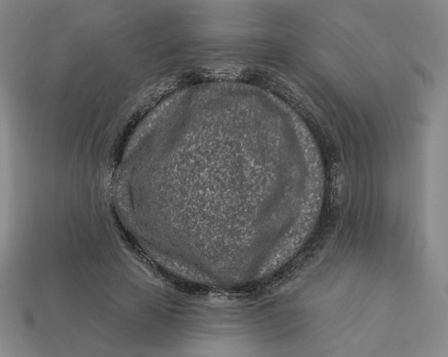 X0000113320641200910051126