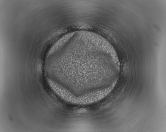 X0000113320643200910051126