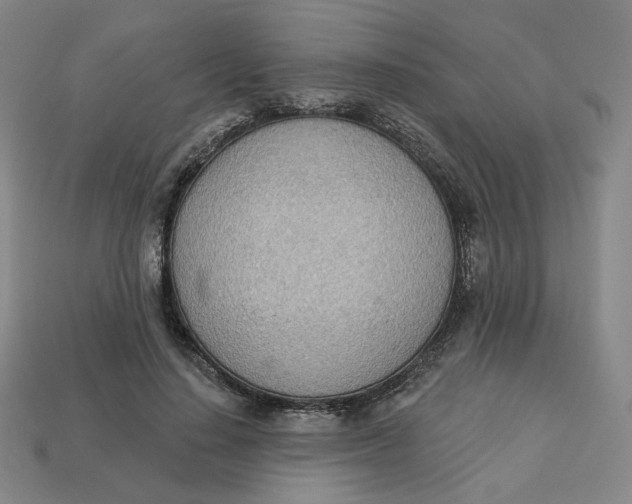 X0000113320644200910051126