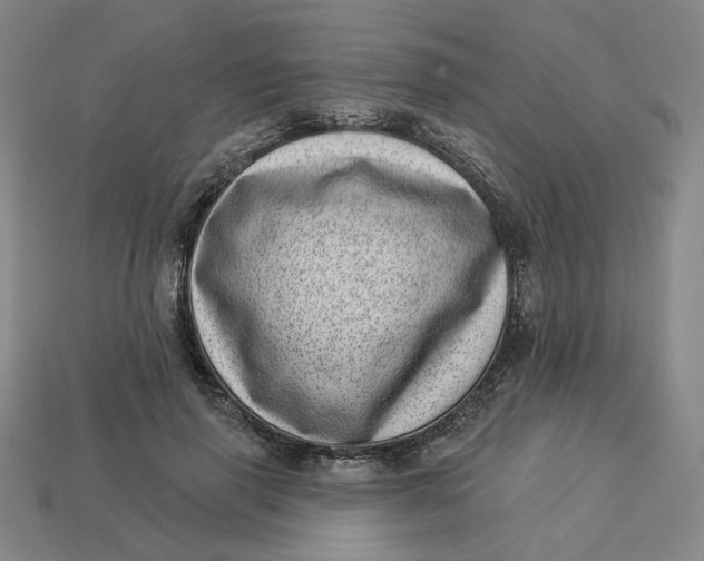 X0000113320645200910051126