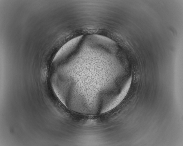 X0000113320647200910051126