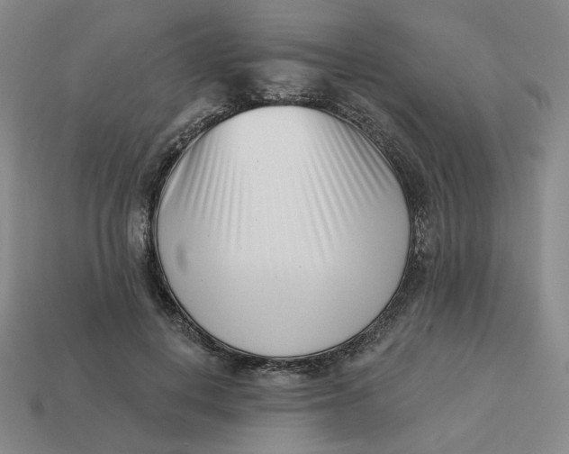 X0000113320648200910051126