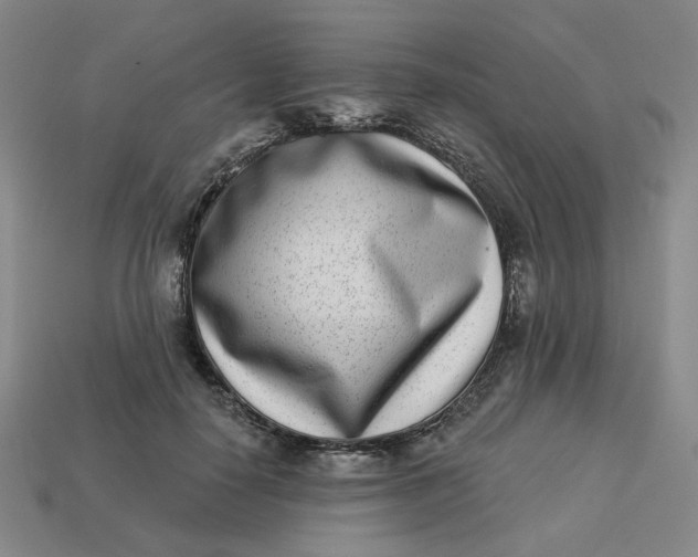 X0000113320650200910051126