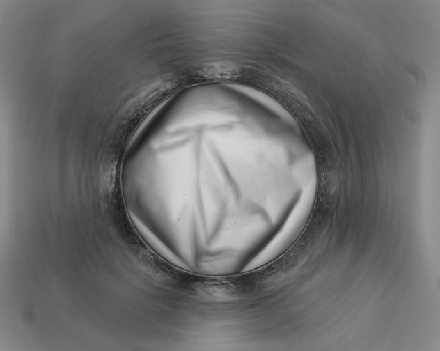 X0000113320652200910051126