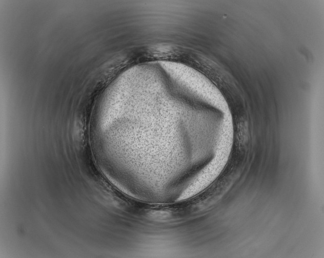 X0000113320653200910051126