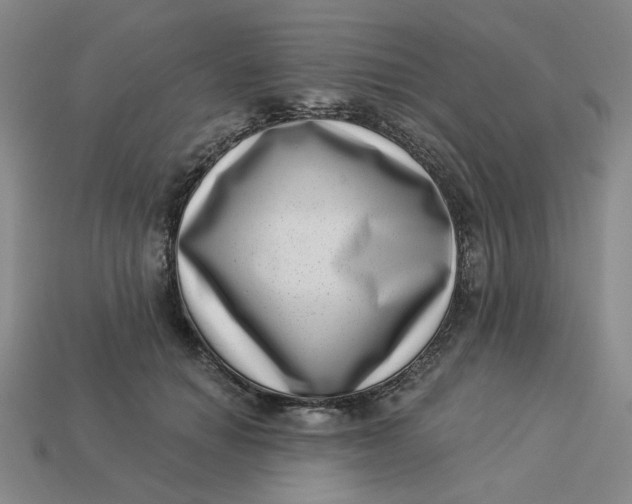 X0000113320654200910051126