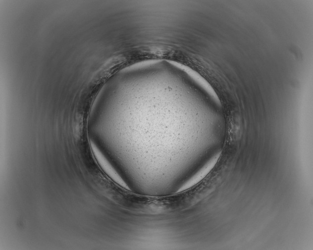 X0000113320656200910051126