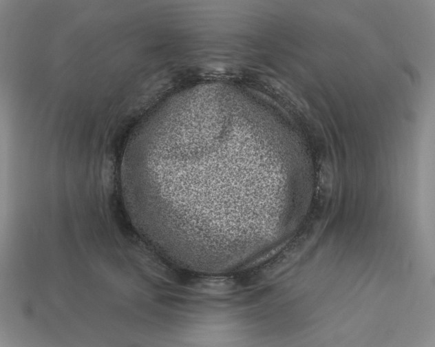 X0000113320659200910051126