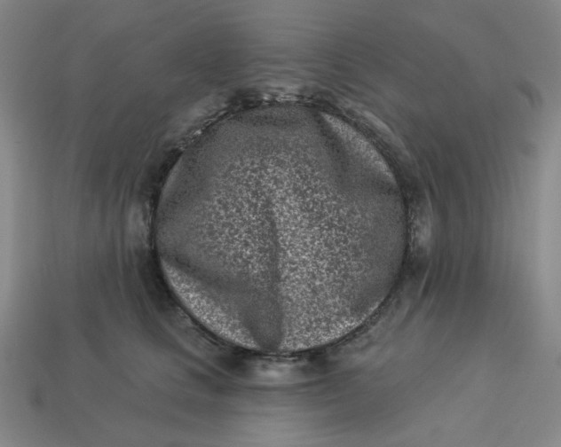 X0000113320661200910051126