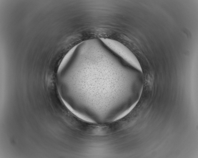 X0000113320663200910051126