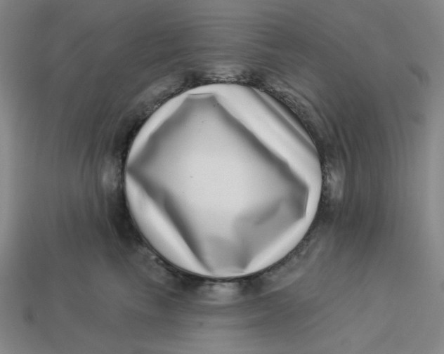 X0000113320665200910051126