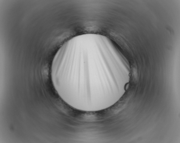 X0000113320668200910051126