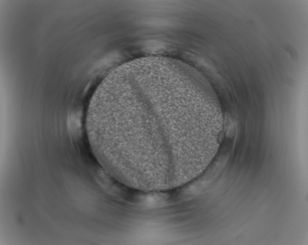 X0000113320670200910051126