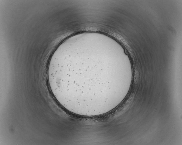 X0000113320673200910051126