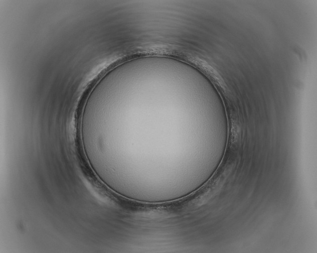 X0000113320674200910051126