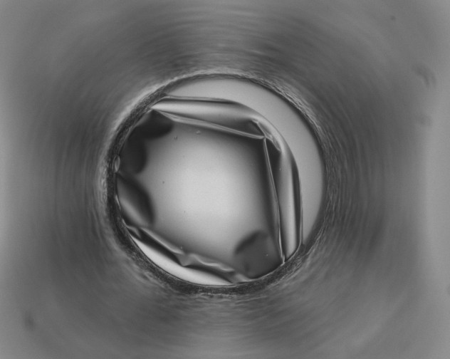 X0000113320676200910051125