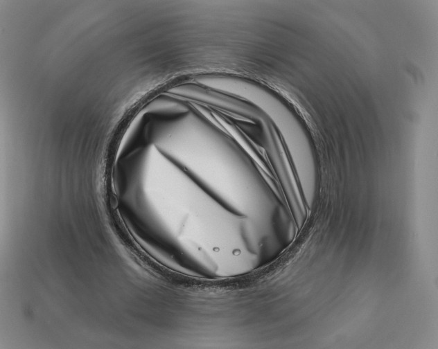 X0000113320677200910051125