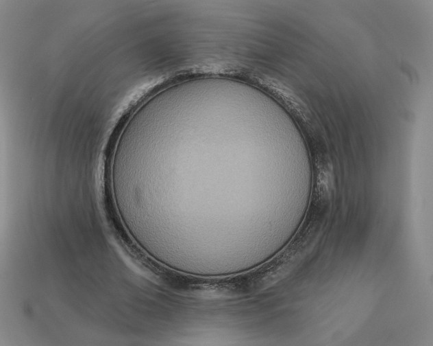 X0000113320678200910051125