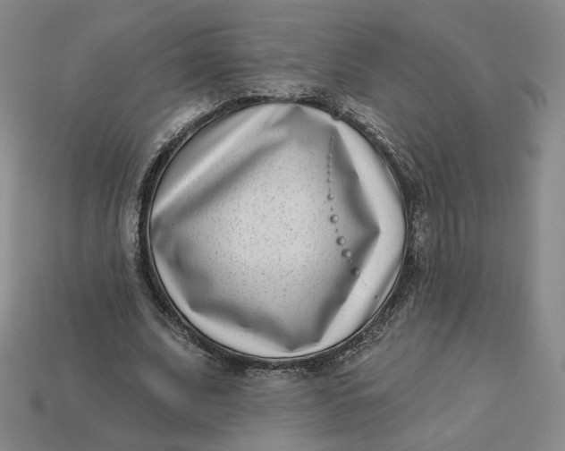 X0000113320679200910051125