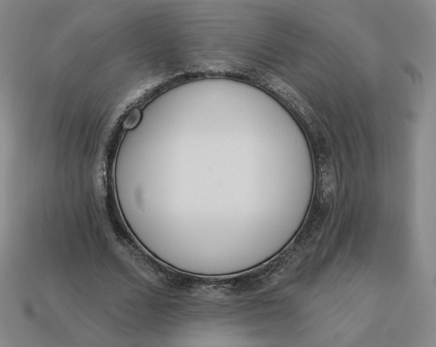 X0000113320680200910051125