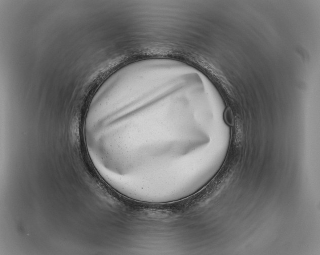 X0000113320681200910051125