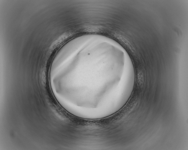 X0000113320682200910051125