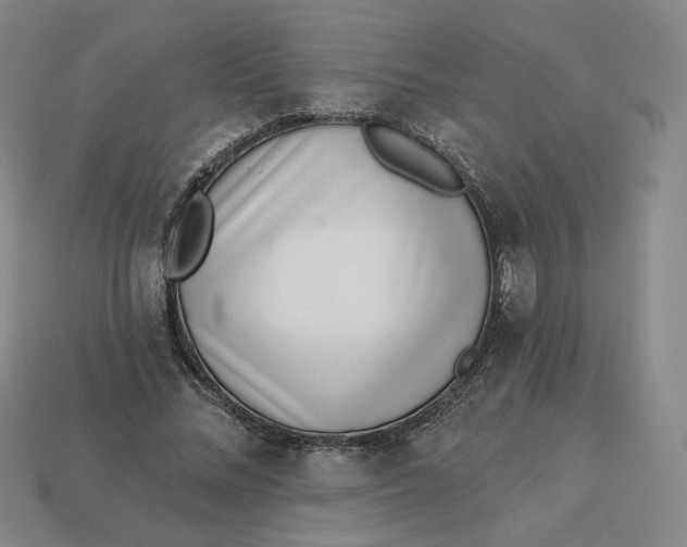 X0000113320684200910051125