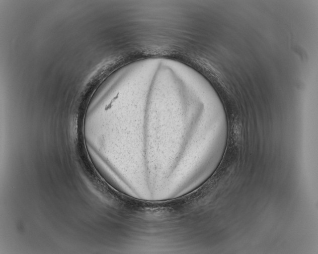 X0000113320686200910051125