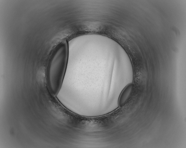 X0000113320688200910051125