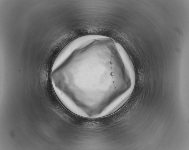 X0000113320691200910051125