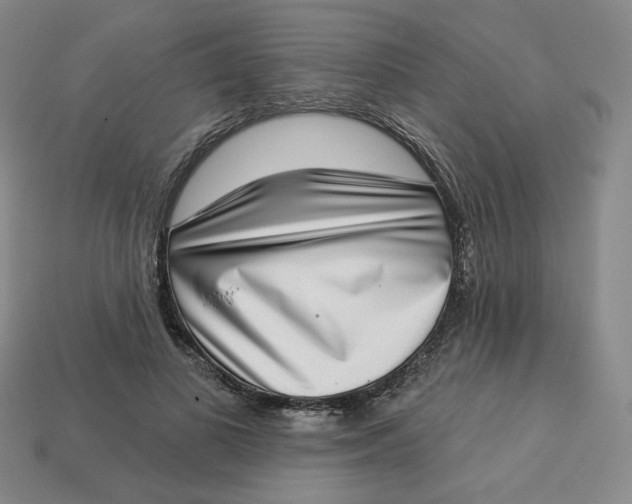 X0000113320693200910051125