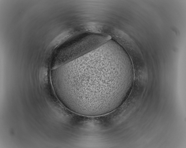 X0000113320696200910051125