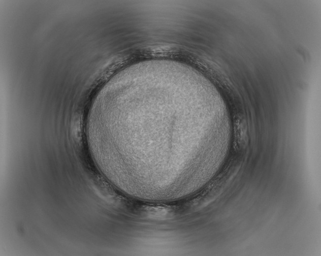 X0000113320698200910051125