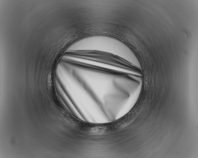 X0000113320700200910051125