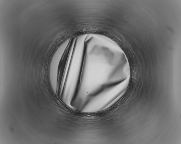 X0000113320701200910051125