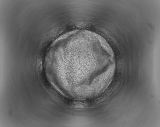 X0000113320703200910051125