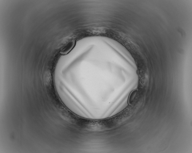 X0000113320704200910051125