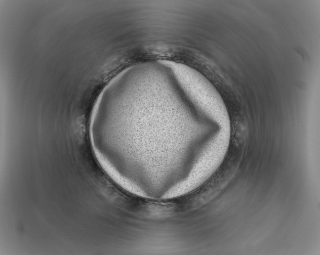 X0000113320707200910051125