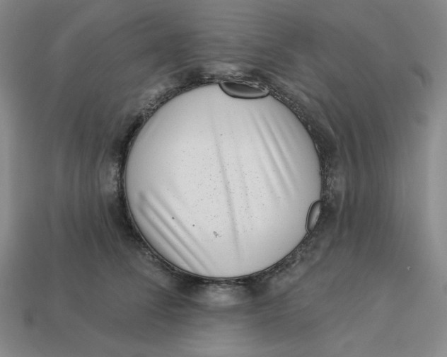 X0000113320708200910051125