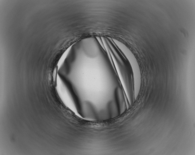 X0000113320709200910051125