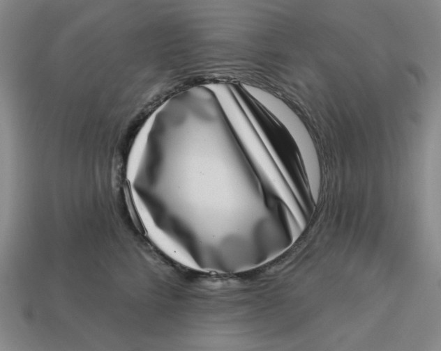 X0000113320712200910051125