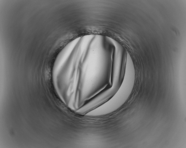 X0000113320713200910051125