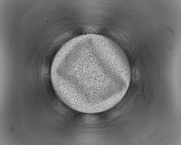 X0000113320714200910051125