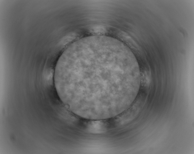 X0000113320717200910051125